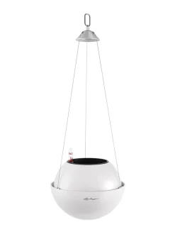 Ruukut & Istutusastiat|Lechuza Amppeli Bola Color altakasteluruukku