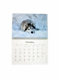 Koriste-Esineet|Karto Animal-vuosikalenteri 2025 MULTICOLOR