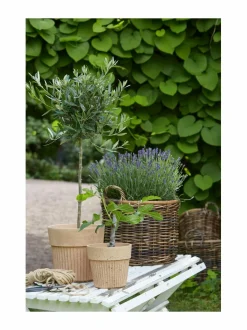 Ruukut & Istutusastiat|Wikholm Form Anita M -betoniruukku 21 x 20 cm TERRACOTTA