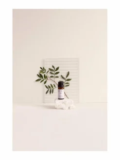 Huonetuoksut & Tuoksukynttilät|Sees Aroma Stone & Eucalyptus -tuoksukivi ja eteerinen öljy