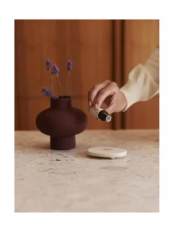 Huonetuoksut & Tuoksukynttilät|Sees Aroma Stone & Eucalyptus -tuoksukivi ja eteerinen öljy