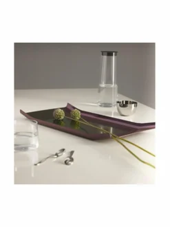 Tarjoiluastiat|Alessi Arran-tarjotin PGR PURPLEGREEN