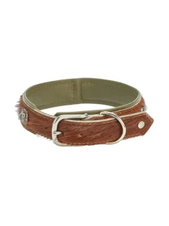 Kaulapannat Ja Talutushihnat|Laboni Bavaria kaulapanta KONJAKKI