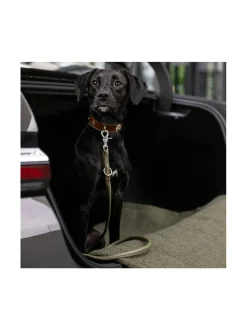 Kaulapannat Ja Talutushihnat|Laboni Bavaria kaulapanta KONJAKKI