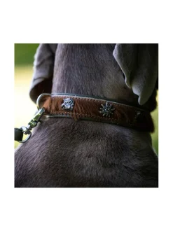 Kaulapannat Ja Talutushihnat|Laboni Bavaria kaulapanta KONJAKKI