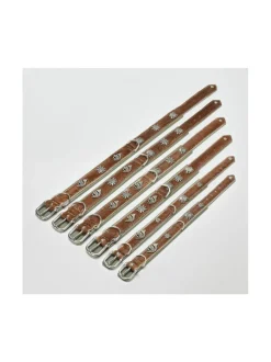 Kaulapannat Ja Talutushihnat|Laboni Bavaria kaulapanta ja hihna - Ruskea & vihreä RUSKEA & VIHREÄ