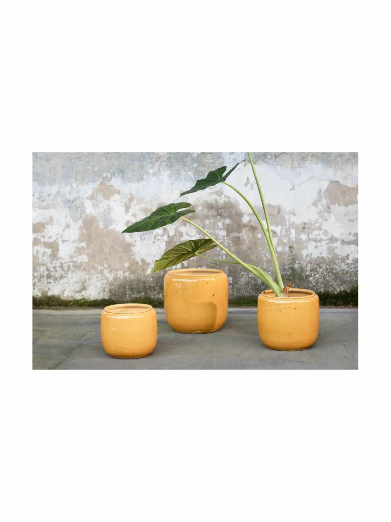 Ruukut & Istutusastiat|Serax Costa L -ruukku, 25 x 25 x 26 cm HONEY