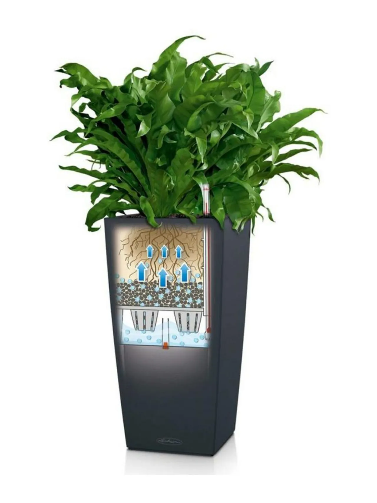 Ruukut & Istutusastiat|Lechuza CUBICO Color 22 Hiekka altakasteluruukku ∅22x22cm korkeus 41cm HIEKKA MATTAPINTA