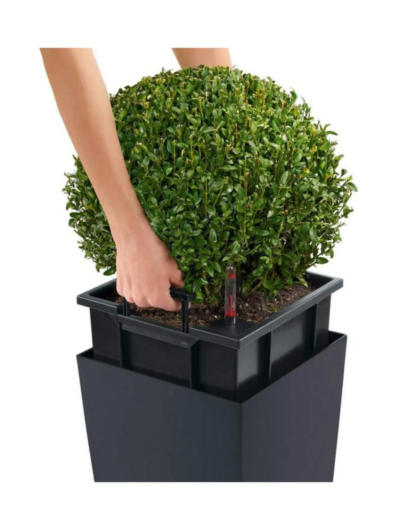 Ruukut & Istutusastiat|Lechuza CUBICO Color 30 matta Hiekka Altakasteluruukku ∅30x30 korkeus 56 cm HIEKKA MATTAPINTA