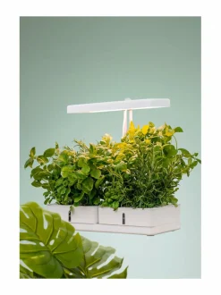 Turvatuotteet|Airam Daisy-kasvivalaisin WHITE