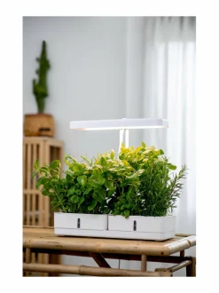 Turvatuotteet|Airam Daisy-kasvivalaisin WHITE