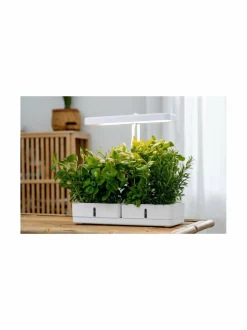 Turvatuotteet|Airam Daisy-kasvivalaisin WHITE