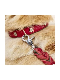 Kaulapannat Ja Talutushihnat|Laboni Edelweiss kaulapanta