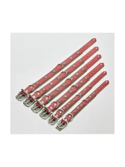 Kaulapannat Ja Talutushihnat|Laboni Edelweiss kaulapanta