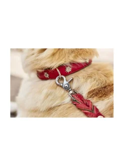 Kaulapannat Ja Talutushihnat|Laboni Edelweiss kaulapanta ja talutushihna