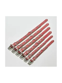 Kaulapannat Ja Talutushihnat|Laboni Edelweiss kaulapanta ja talutushihna