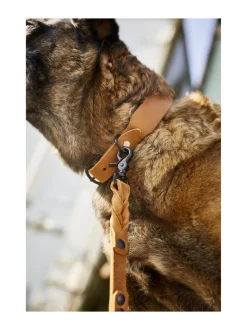 Kaulapannat Ja Talutushihnat|Laboni Giro talutushihna 2 m HUNAJA