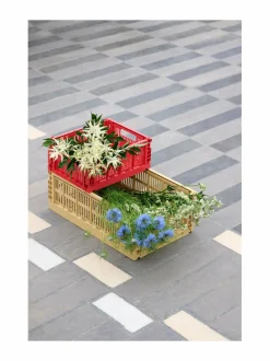 Säilytys|HAY Colour Crate S -säilytyskori RED