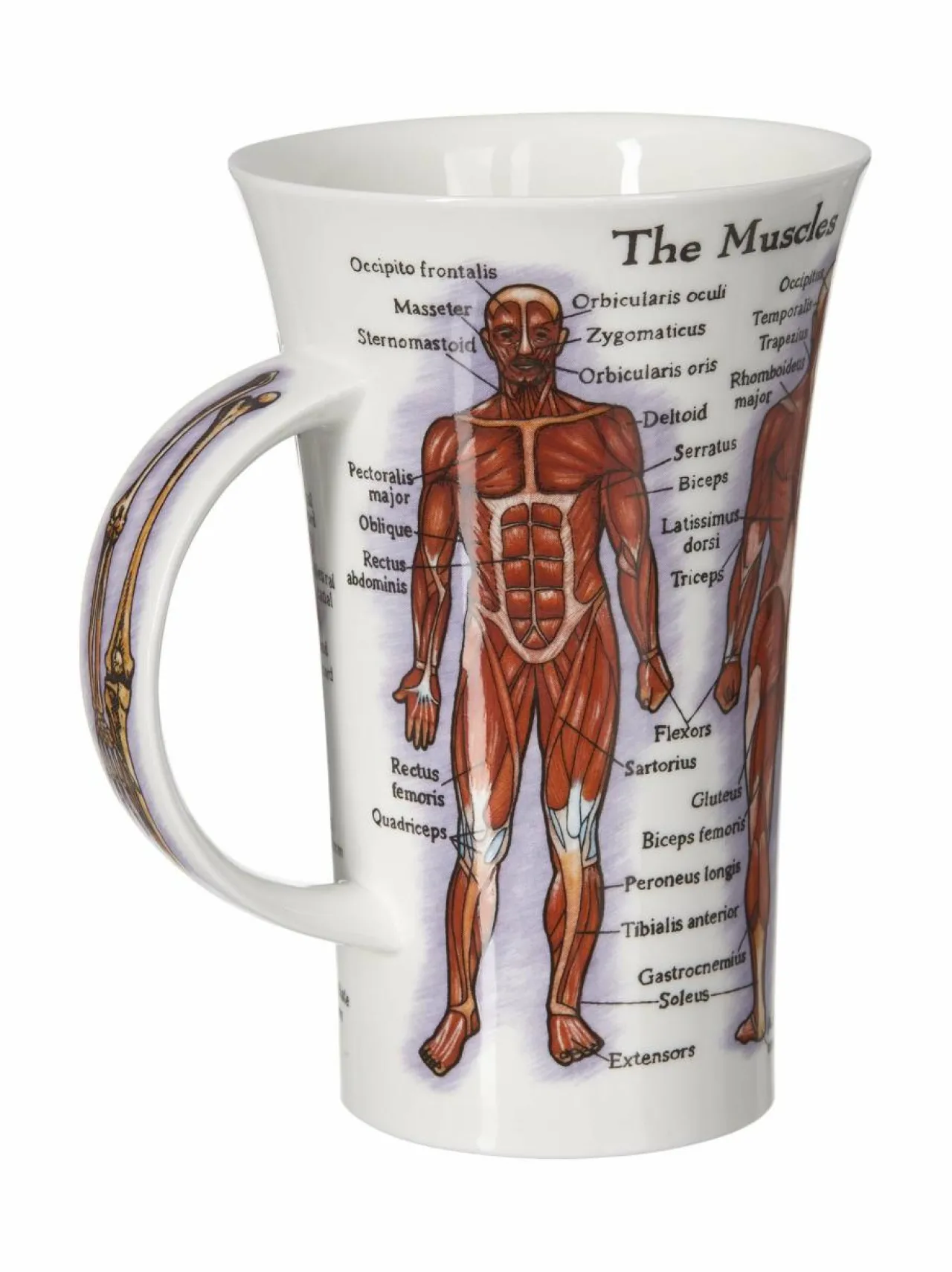 Mukit & Kupit & Asetit|Dunoon Human Body -muki VALKOINEN