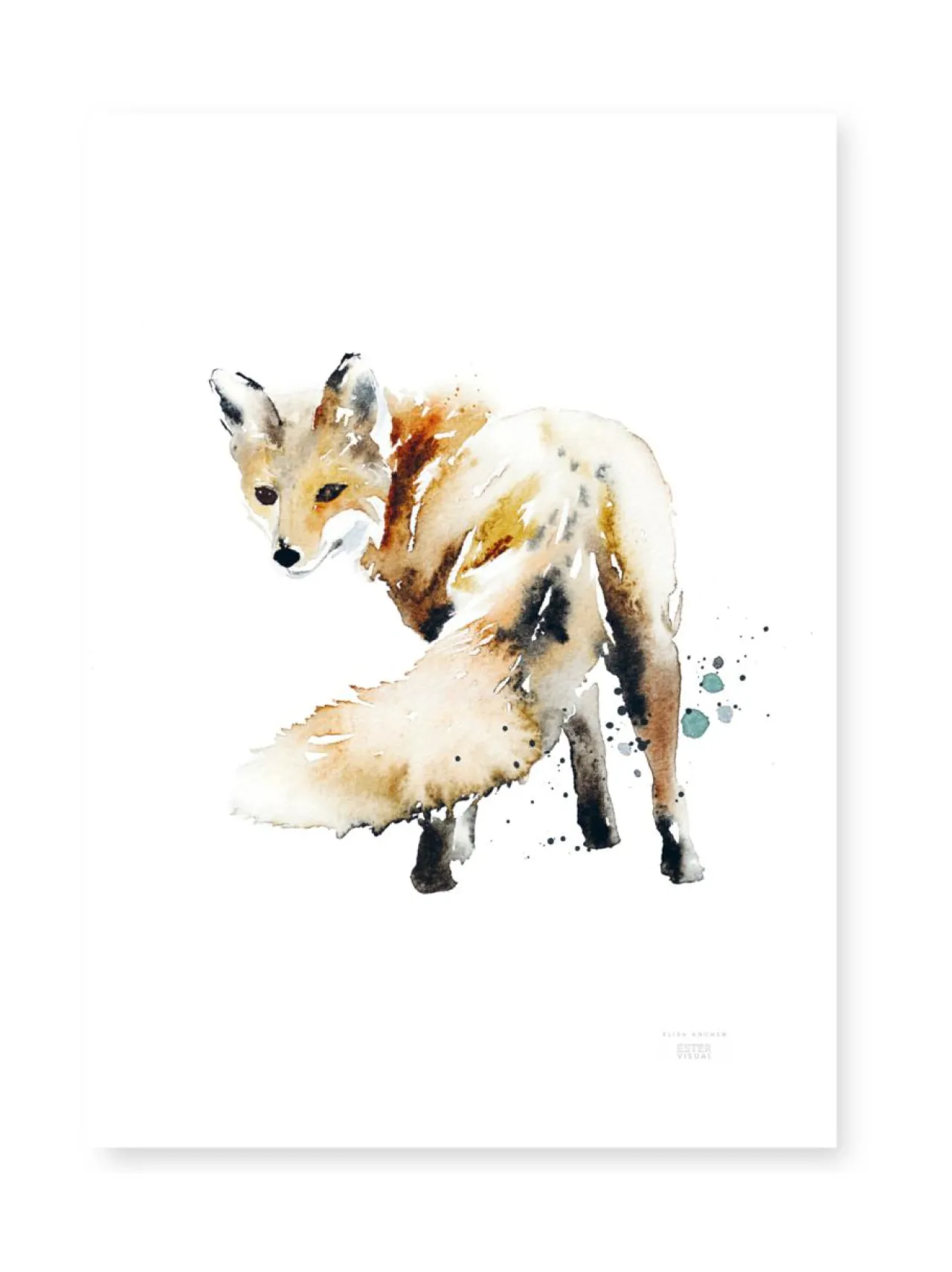 Taulut & Julisteet|ESTER VISUAL Juliste Ketunhäntä 50x70 cm