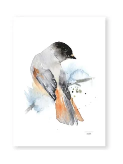 Taulut & Julisteet|ESTER VISUAL Juliste Kuukkeli 50x70 cm