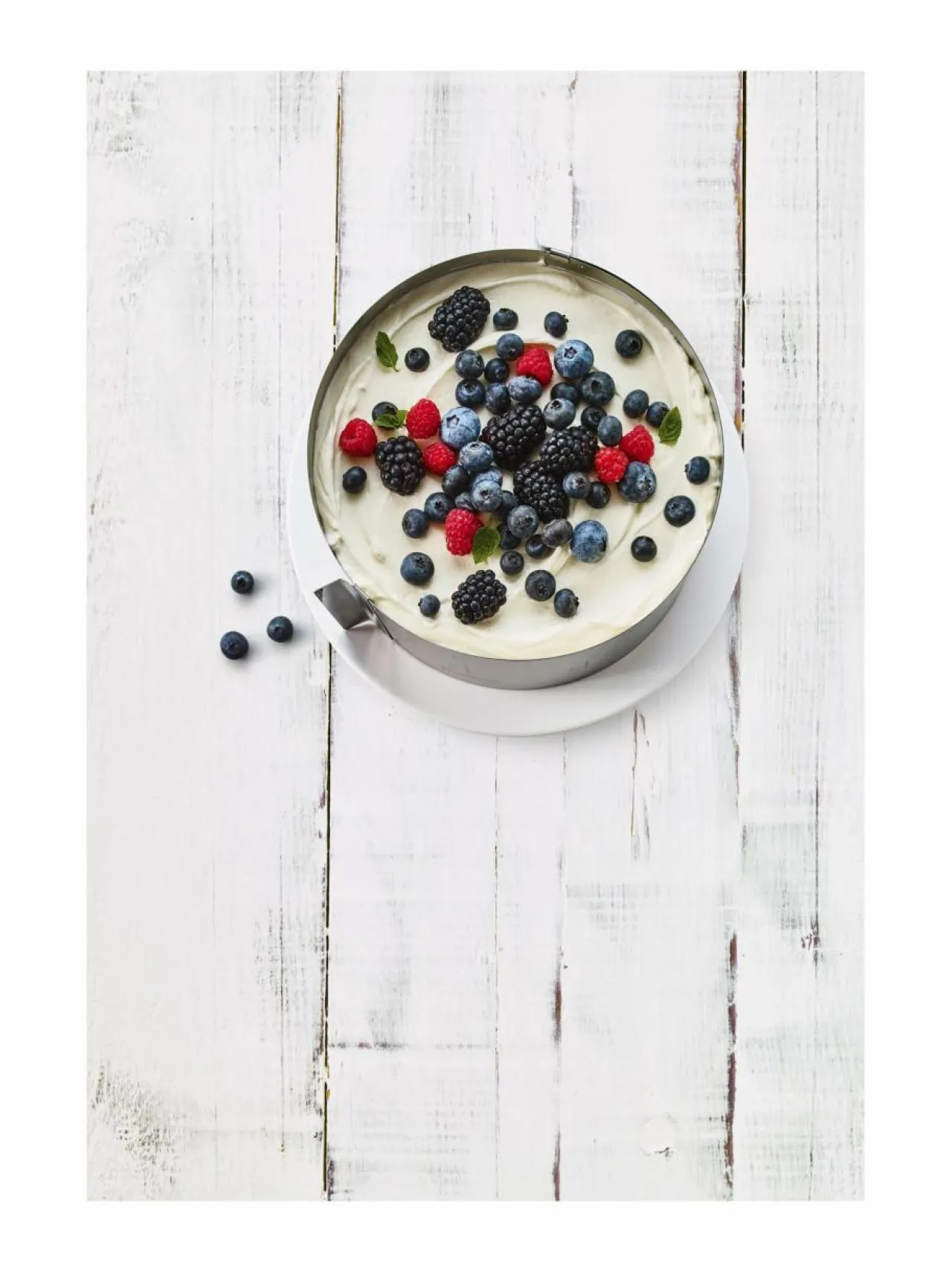 Leivonta|Birkmann Kakkurengas GREY