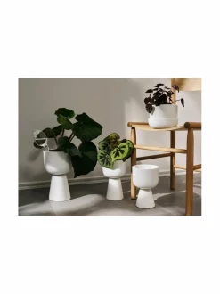 Koriste-Esineet|Iittala Kastelupullo 2 kpl KIRKAS