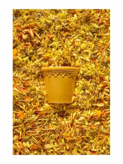 Ruukut & Istutusastiat|Bergs Potter Københavner-ruukku Ø 10 cm AMBER YELLOW