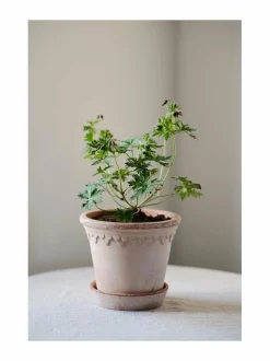 Ruukut & Istutusastiat|Bergs Potter Københavner-ruukku Ø 14 cm ROSA