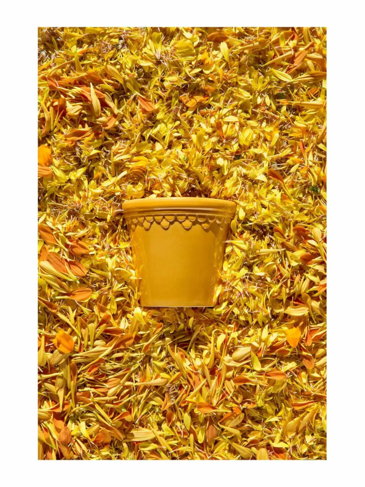 Ruukut & Istutusastiat|Bergs Potter Københavner-ruukku Ø 18 cm AMBER YELLOW