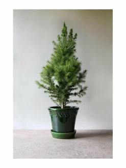 Ruukut & Istutusastiat|Bergs Potter Københavner-ruukku Ø 16 cm EMERALD GREEN