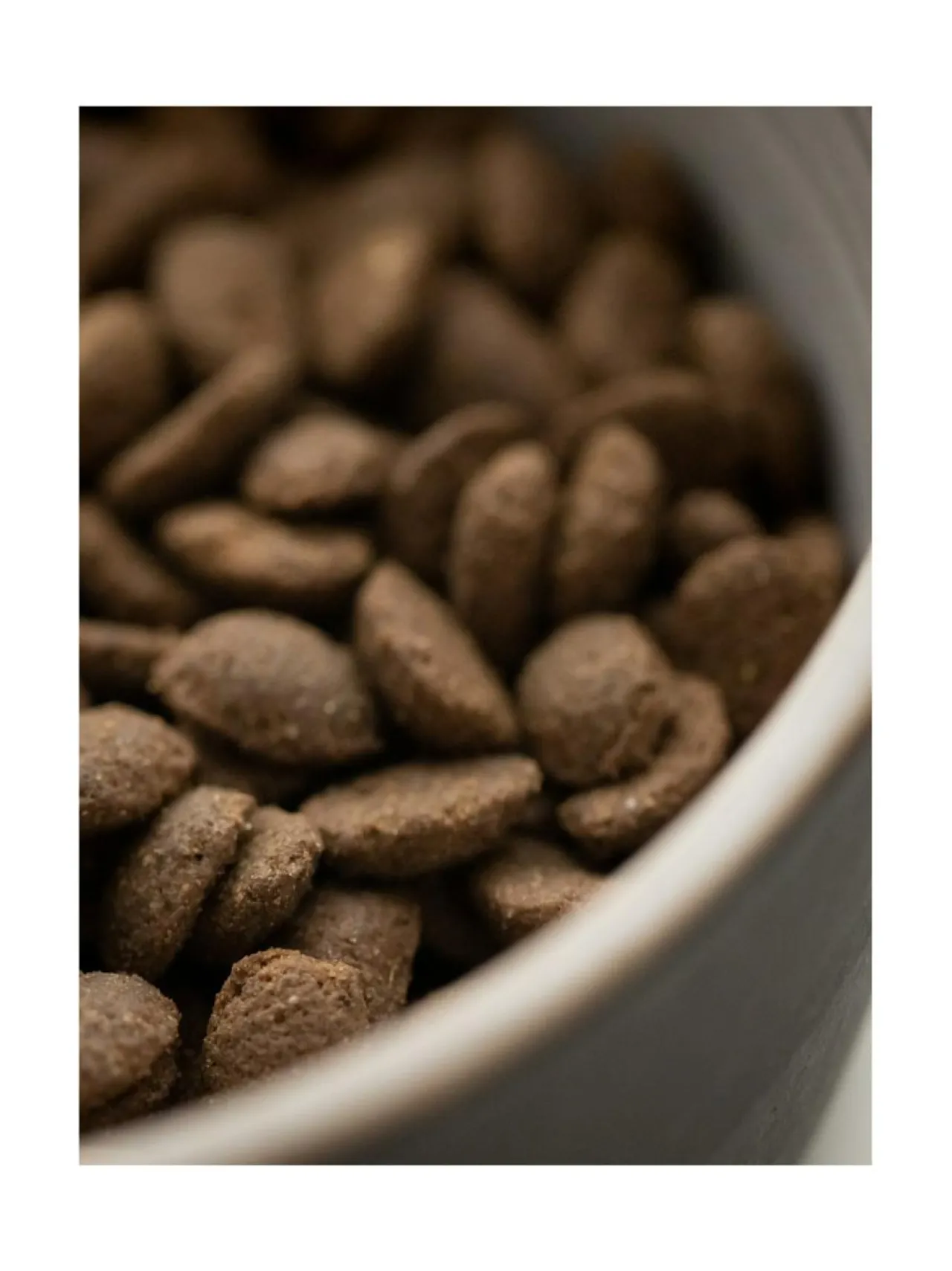 Ruokakupit Ja -Tarvikkeet|Oliver's Life & Style Koiran keraaminen ruokakulhosetti, 2 kulhoa, (alaspäin levenevät kulhot) MUSTA