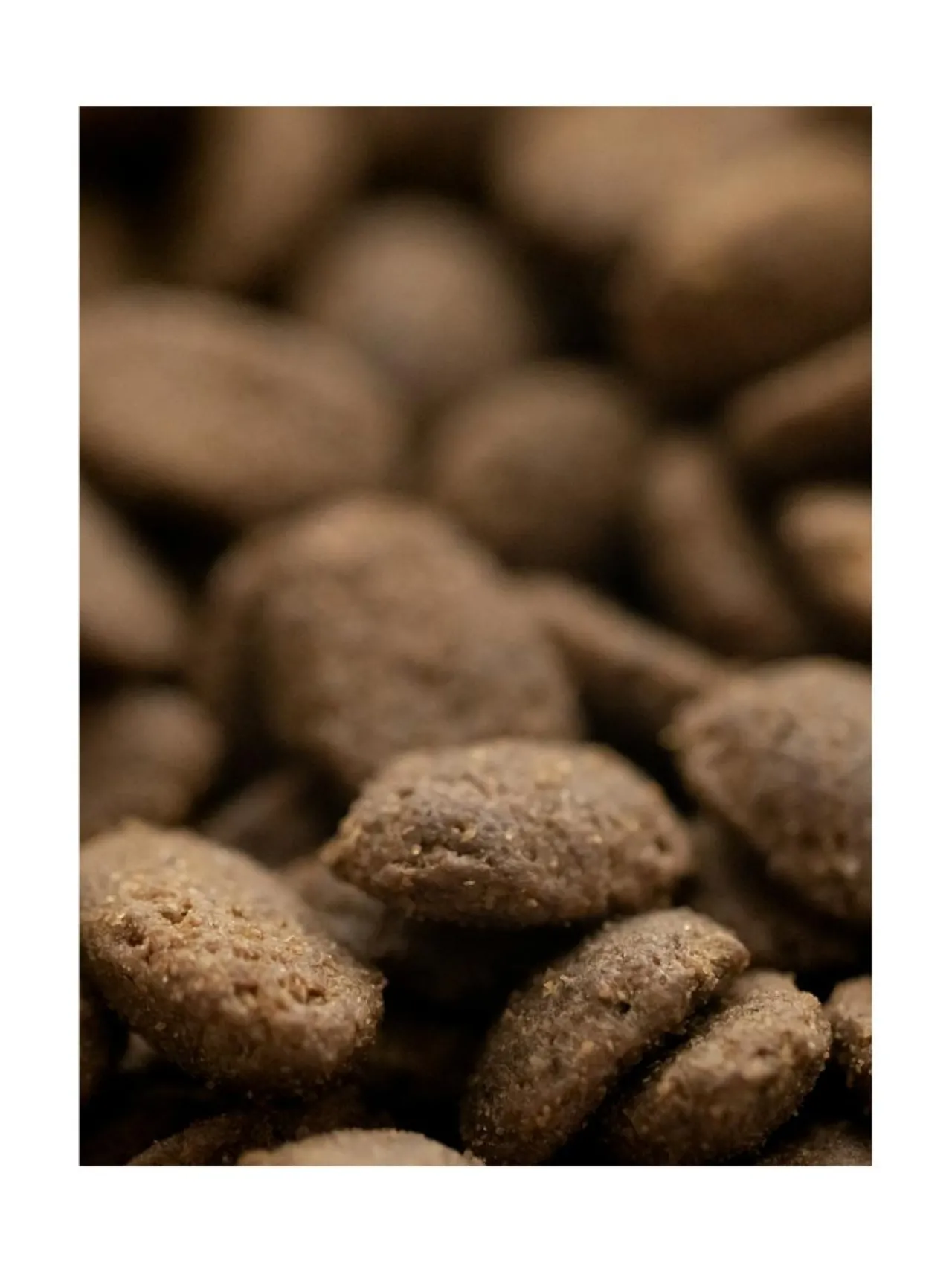 Ruokakupit Ja -Tarvikkeet|Oliver's Life & Style Koiran keraaminen ruokakulhosetti, 2 kulhoa, (ylöspäin levenevät kulhot) MUSTA