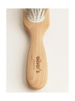 Hoitotuotteet Ja -Tarvikkeet|Oliver's Life & Style Koiran metallipiikkiharja