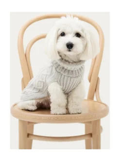 Koiran Vaatteet|Oliver's Life & Style Koiran neule, palmikko, HARMAA