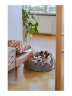 Pedit Ja Makuualustat|Kanto Koiranpeti x Johanna Gullichsen DORIS BLUE