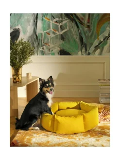 Pedit Ja Makuualustat|Kanto Koiranpeti Luoto x Kvadrat CLOUD