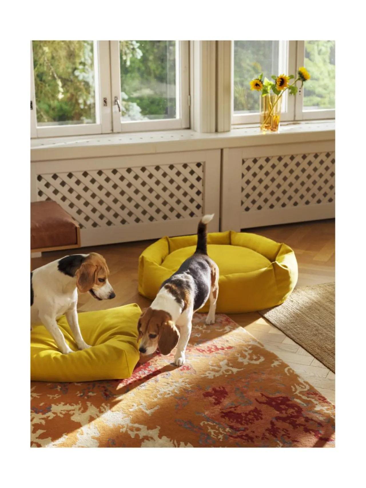 Pedit Ja Makuualustat|Kanto Koiranpeti Luoto x Kvadrat CLOUD