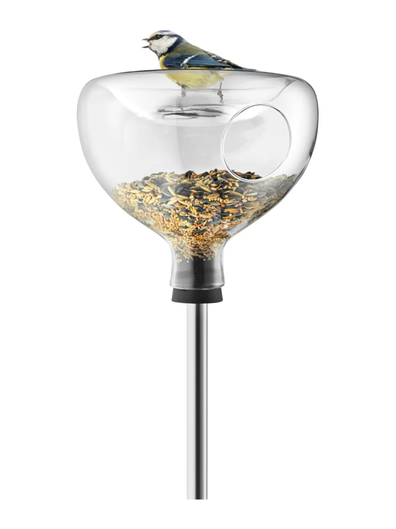 Puutarhakoristeet|Eva Solo Outdoor Lasinen lintulauta ja -kylpy LÄPINÄKYVÄ