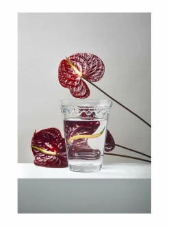 Ruukut & Istutusastiat|Bergs Potter Lasiruukku Ø 15 cm CLEAR