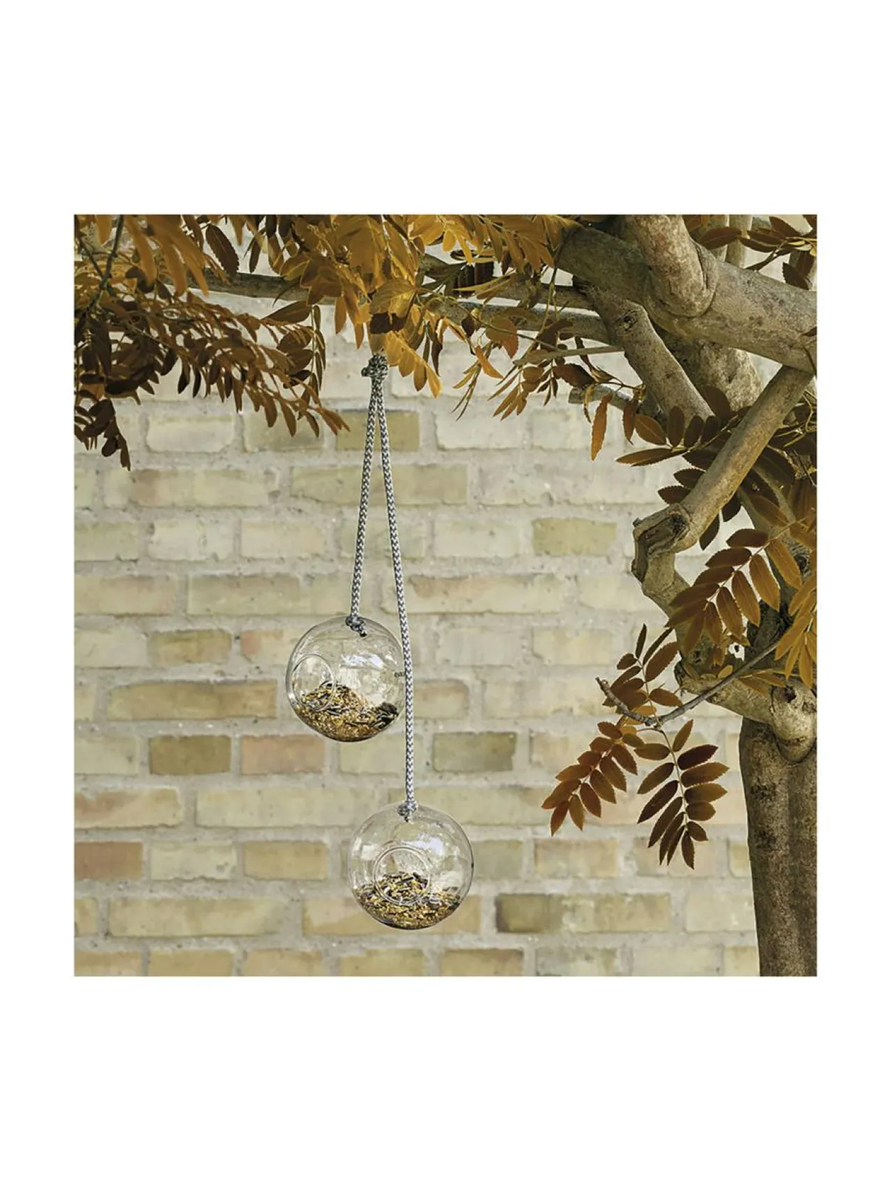 Puutarhakoristeet|Eva Solo Outdoor Lasiset lintupallot Ø 9,5 cm, 2 kpl LÄPINÄKYVÄ