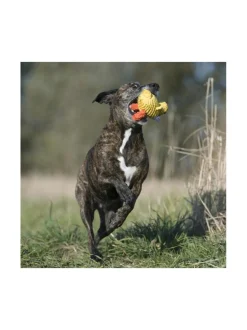 Koiran Lelut|Laboni Lelupaketti #3 - Emma, Kalli, Franzi