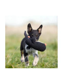 Koiran Lelut|Laboni Lelupaketti #4 - Poldi, Kalli, Kurt