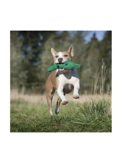 Koiran Lelut|Laboni Lelupaketti #4 - Poldi, Kalli, Kurt