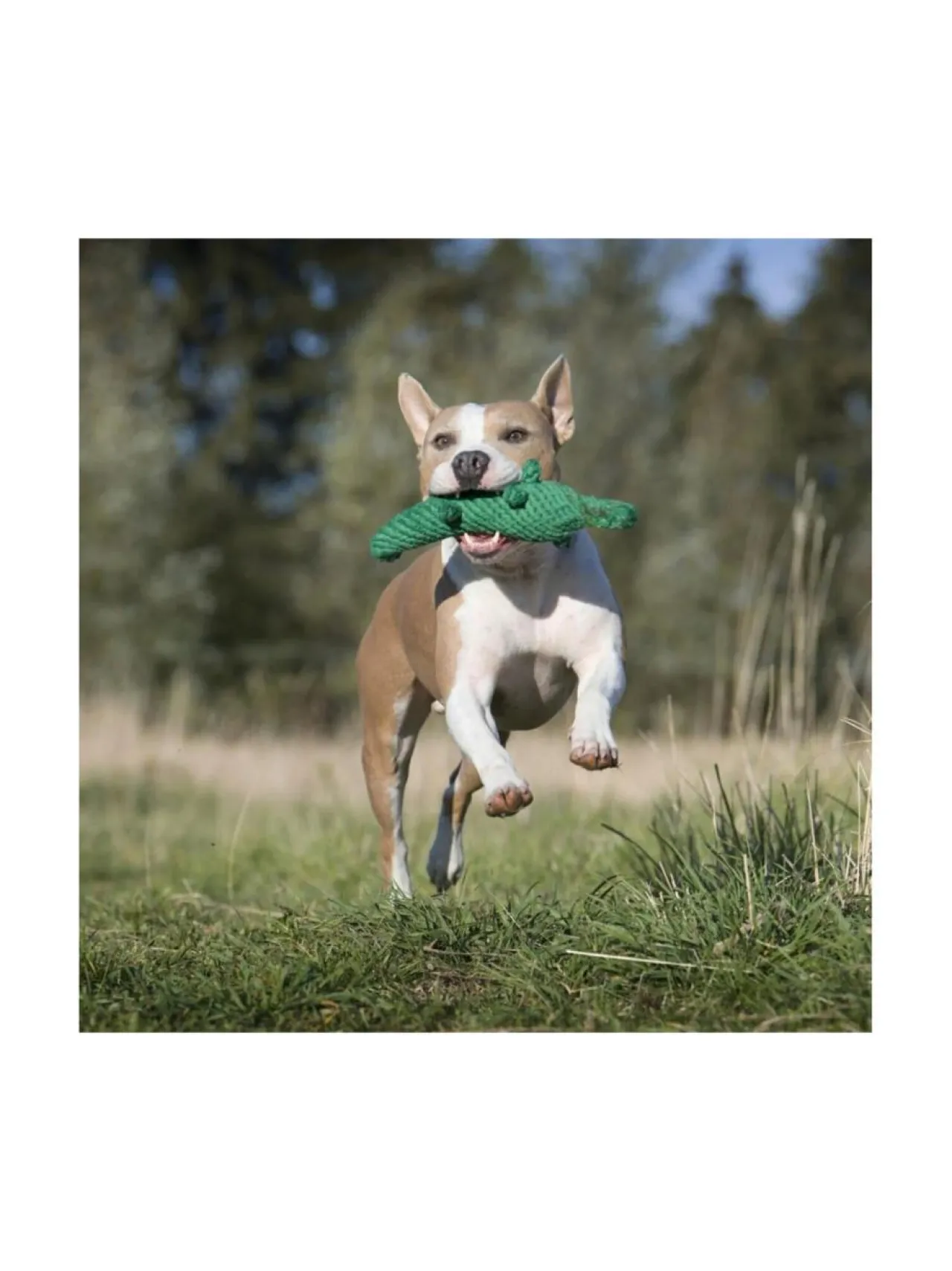 Koiran Lelut|Laboni Lelupaketti #4 - Poldi, Kalli, Kurt