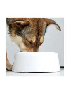 Ruokakupit Ja -Tarvikkeet|Studio Animaux Marmorinen design ruokakulho - Kristallinvalkoinen