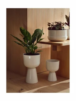 Ruukut & Istutusastiat|Iittala Nappula-kasviruukku WHITE