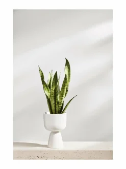 Ruukut & Istutusastiat|Iittala Nappula-ruukku 230 x 155 mm VALKOINEN