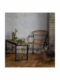 Sisustusvalosarjat|Star Trading Olivec- koristevaloköynnös, paristokäyttöinen 180 cm VIHREÄ