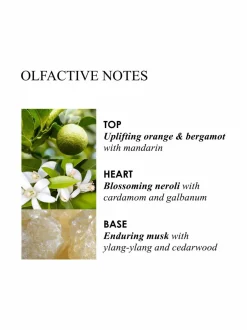 Huonetuoksut & Tuoksukynttilät|Molton Brown Orange & Bergamot Aroma Reeds -tuoksutikut 150 ml